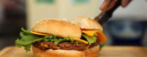 Vegetarian Burgers Canola Protein BNN Bloomberg | James Alexander Michie